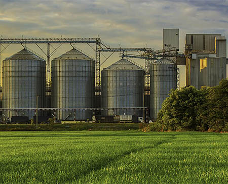 Getreideindustrie